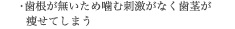 歯根が無いため噛む刺激がなく歯茎が痩せてしまう